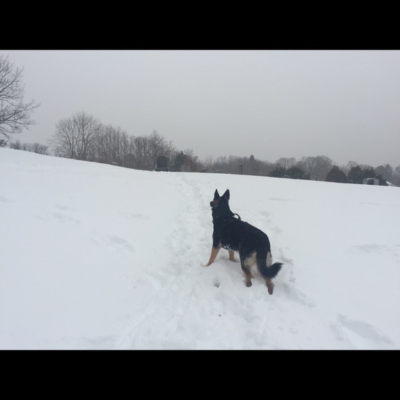 Meet your Posher, Jessica - Picture 1 of 1